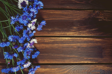 Fototapeta premium Blue Cornflower Herb on wooden surface