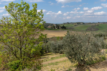 Fototapeta na wymiar Landschaftspanorama Toskana Italien
