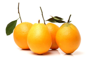 Orange fruit on the white background