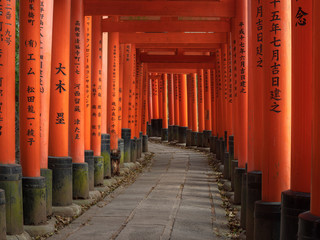 Fushimi Inari Shrine - 271730826