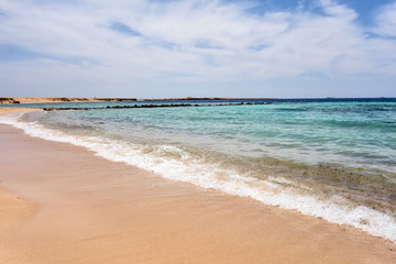 Red Sea desert beach coast in the Red Sea
