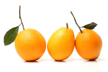 Orange fruit on the white background