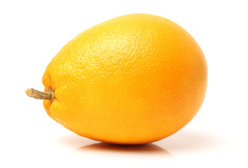 Orange fruit on the white background