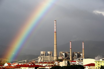 Thermal Reactor Soma