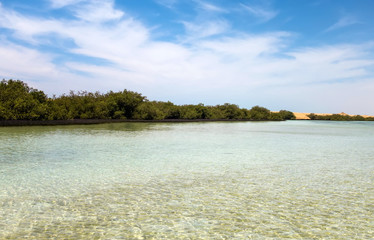Ras Mohammed Mangrove Channel Egypt.