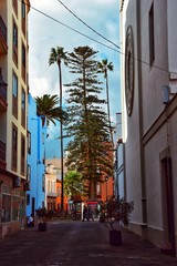 Tenerife, Canary Islands 