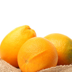 Orange fruit on the white background