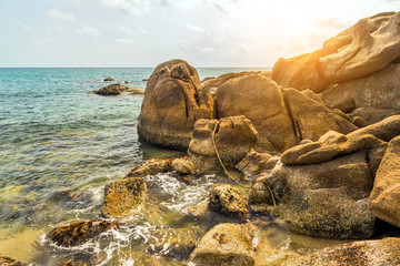Palm Beach In Tropical Paradise Island