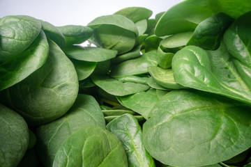 Macro shot of green spinach leafs. Bunch of spinach vegetable leafs stacked on top of each other. Urban farming, healthy eating lifestyle