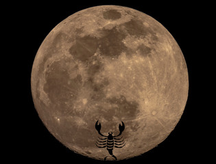 Full Moon Photo with Horoscopes © ClaudioArnese