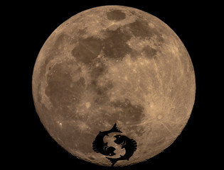 Full Moon Photo with Horoscopes