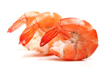 shrimps on a white background