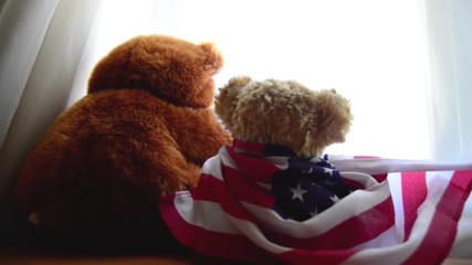 two teddy bears one with american flag looking thru the window