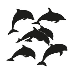 Set silhouette of a Dolphin. Simple vector illustration