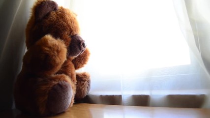 teddy bear looking thru window