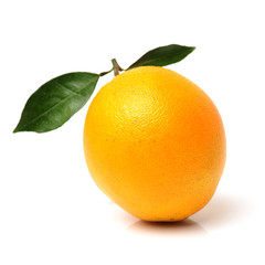 Orange fruit on the white background