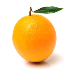 Orange fruit on the white background