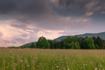 Long exposure shot of summer field 