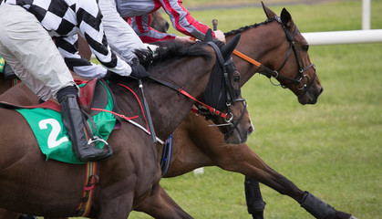 Close up on galloping  race horses competing