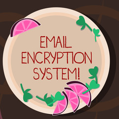 Conceptual hand writing showing Email Encryption System. Business photo showcasing Authentication mechanism of an email message Cutouts of Sliced Lime Wedge and Herb Leaves on Color Plate