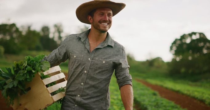 Happy smiling farmer walking with fresh organic vegetable harvest