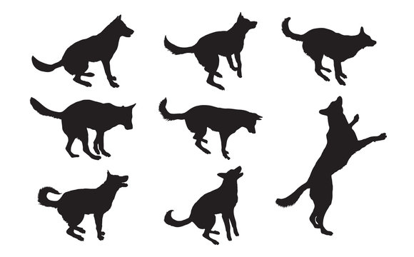  Set of dogs silhouettes. Vector illustration