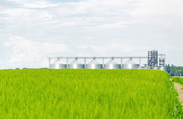 Fototapeta premium Metal modern elevator in the field of wheat