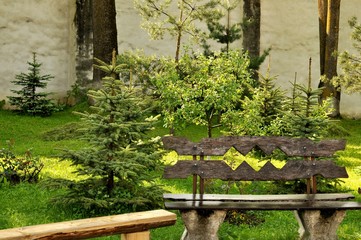 Naklejka premium Wooden bench in the garden with pine trees behind.