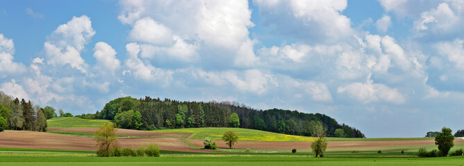 Panorama von Feldern im Frühling