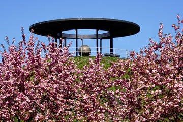 Der Fliegeberg (Lilienthalberg) zur Zeit der Kirschblüte