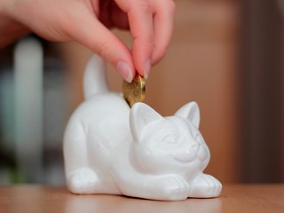 Obraz na płótnie Canvas Hand putting a coin into a cat-shaped penny bank.