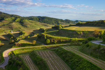 Obraz premium Kaiserstuhl_9115