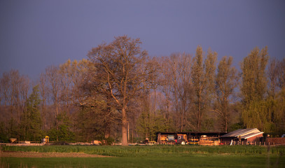 Dutch countryside with farming tools in evening sunlight in spring.