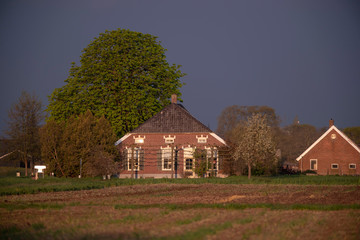 Fototapeta na wymiar Old dutch farmhouse in evening sunlight in spring.