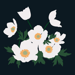 Vector illustration of bouquet of white poppies