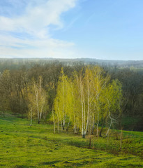 Spring landscape. Ukrainian flatland in early spring.
