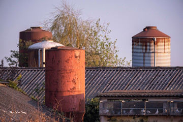 Silos with barns in evening sunlight in spring.