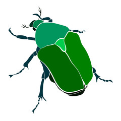 Vector illustration of green beetle. Cryptocephalus sericeus