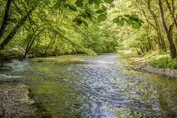 Obraz premium Wutachschlucht bei Löffingen