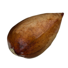 seed of avocado isolated on white background