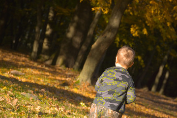 Child toddler studies yellow autumn forest