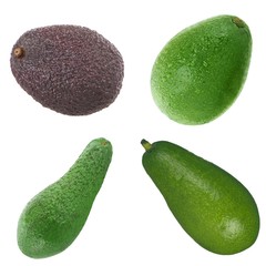 set of brown and green avocado isolated