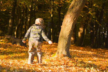 Child looks at the yellow autumn leaves in the forest