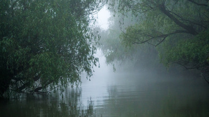 First light of a misty and foggy morning creating a picturesque atmosphere at the Danube Delta Romania