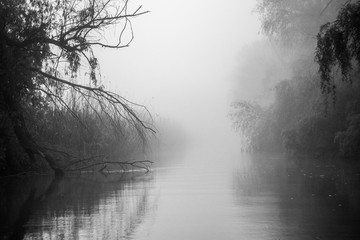 First light of a misty and foggy morning creating a picturesque atmosphere at the Danube Delta...