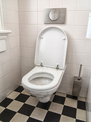 Wall mounted toilet
