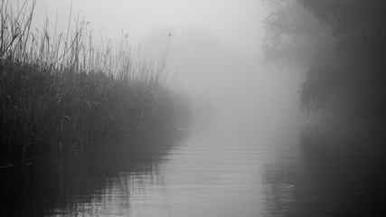 Fototapeta premium First light of a misty and foggy morning creating a picturesque atmosphere at the Danube Delta Romania