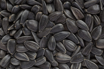 close up of sunflower seeds background