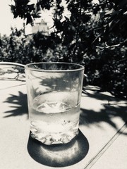 glass of water with ice on green background