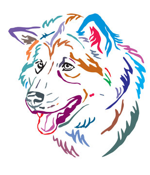 Colorful decorative portrait of Alaskan Malamute Dog vector illustration